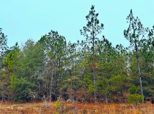 0 Jw Miller Rd, Reynolds, GA 31076