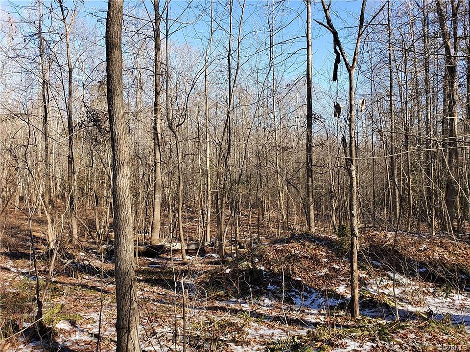 2nd image of 1925 Ellis Dr