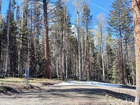 3rd image of 395 Aspen Trail