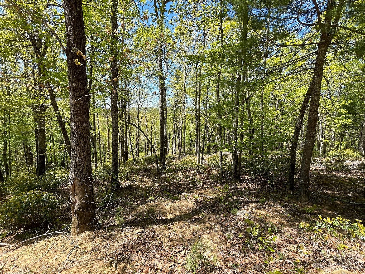 0 Orchard View Trl, Spruce Pine, NC 28777 MLS 4029280 Zillow