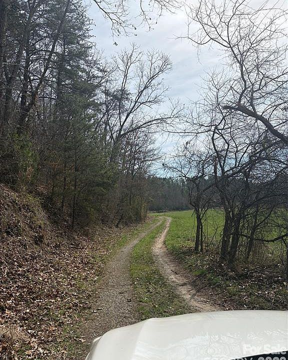 2nd image of 242 Area Radford Rd #3