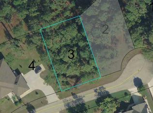 21 Pythian Pl, Palm Coast, FL 32164