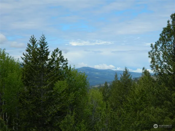 0 Roundabout Road, Tonasket, WA 98859