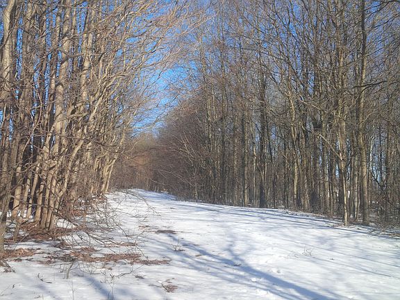 2nd image of 17032 County Road 215