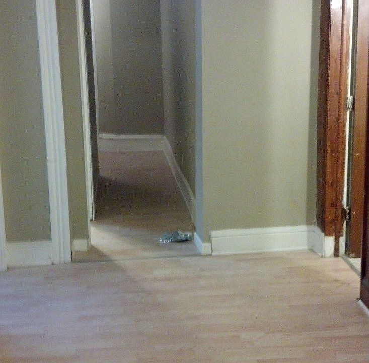 2nd image of 1921 3rd Ave S APT 2