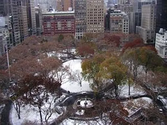 Sold by Douglas Elliman | media 3