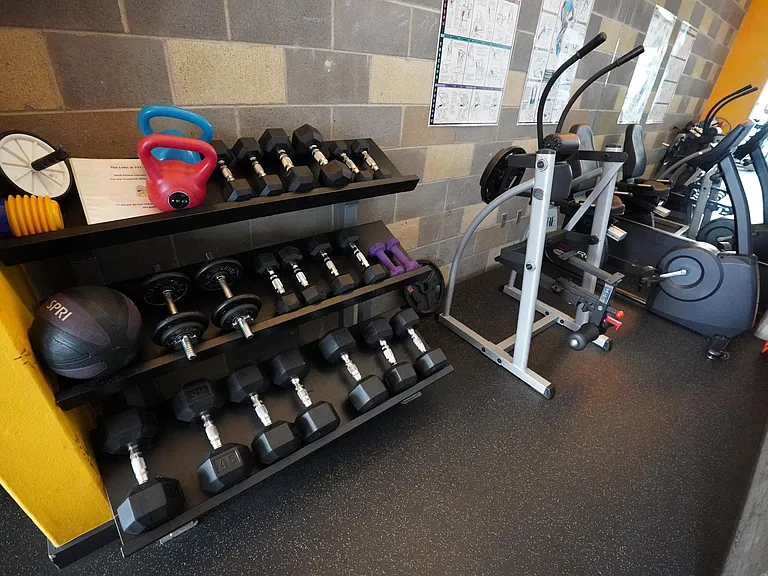 free-weights