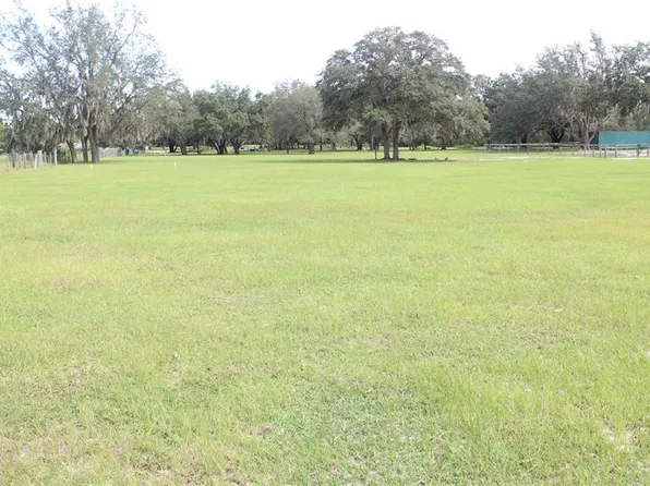 DEMILLE ROAD, POLK CITY, FL 33868