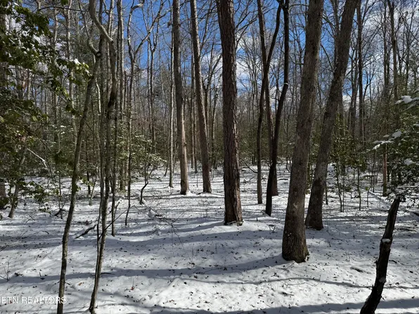 2 Falls Pl, Monterey, TN 38574