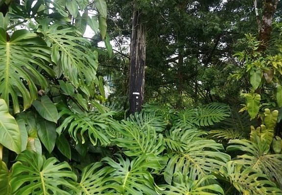 2nd image of 16-2061 Paradise Cir Lot 7