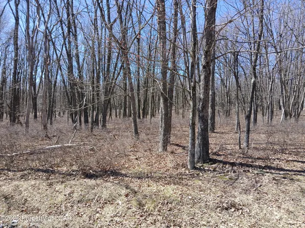 Sweet Birch Dr, Hazle Township, PA 18202