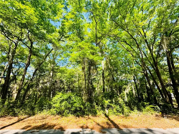 LOT 66 Otter Slide Loop NE, Townsend, GA 31331