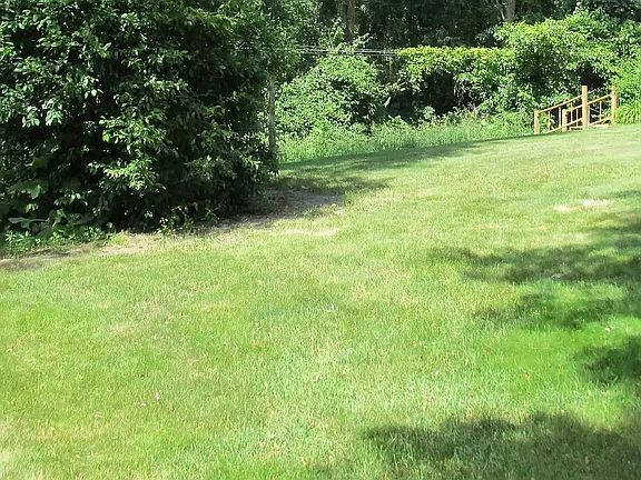 .41 acre - private backyard