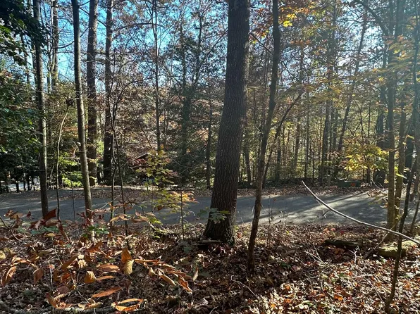 3 Piney Point Rd, Blairsville, GA 30512