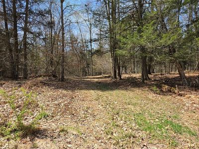 Lot 12 Tyler Road, Narrowsburg, NY, 12764