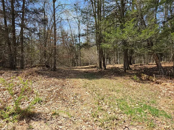 Lot 12 Tyler Road, Cochecton, NY 12726