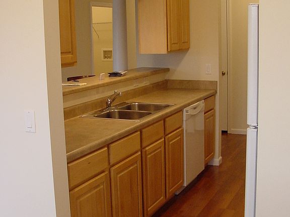 double basin sinks with garbage disposal and dishwasher