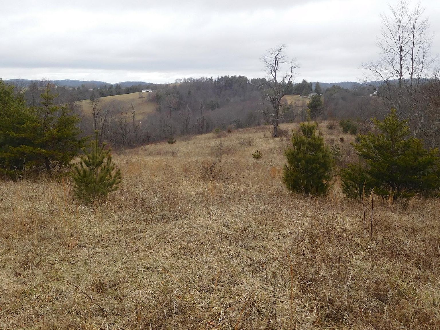 Tbd Macks Mountain Rd, Indian Valley, VA 24105 Zillow