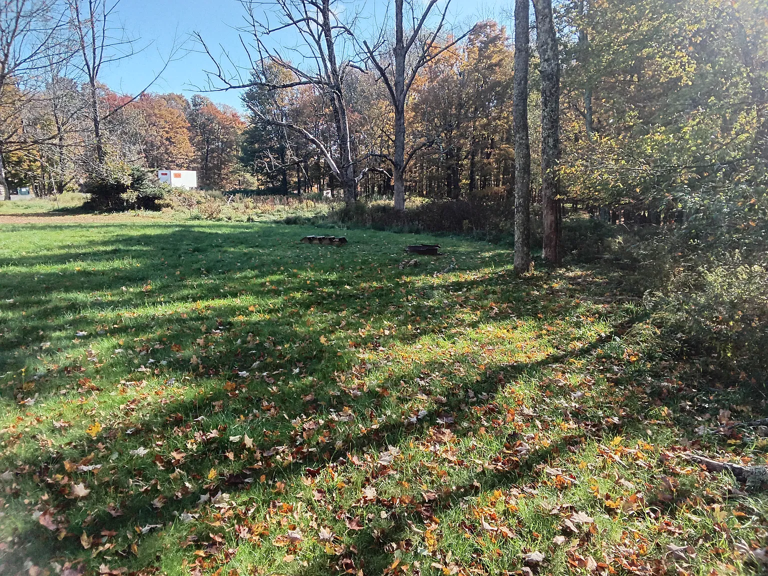 2 bed, $1,500 — Photo 2