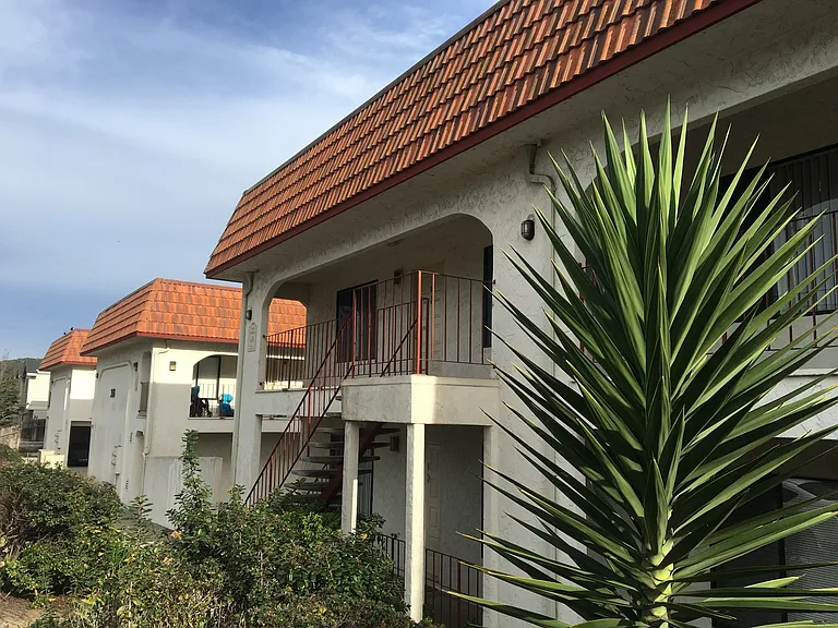 3153 Eucalyptus St — Photo 1