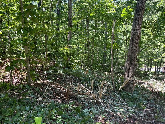 5th image of 31 Shallow Creek Cir