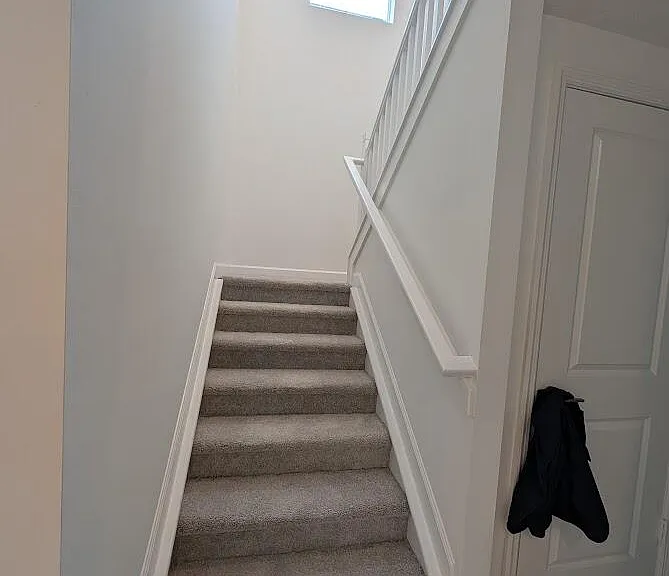 4315 Sylvester Palm Dr — Photo 8