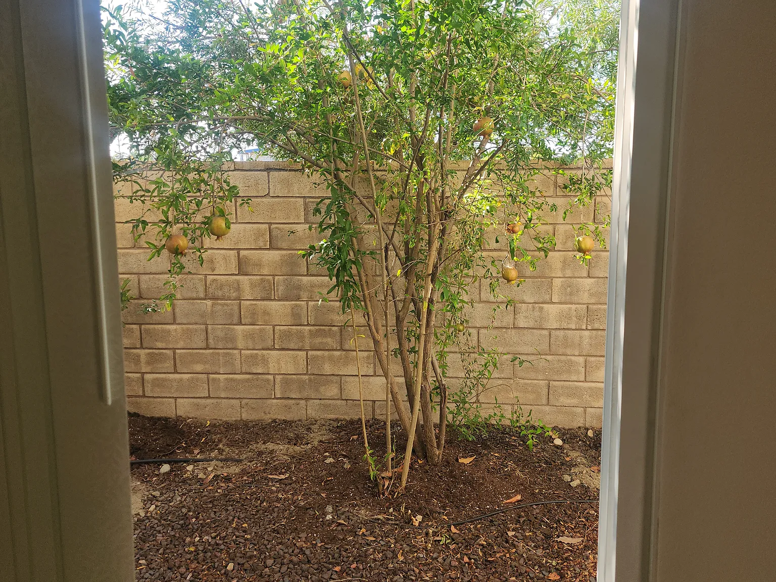 1 bed, 2146 sqft, $1,000 — Photo 4