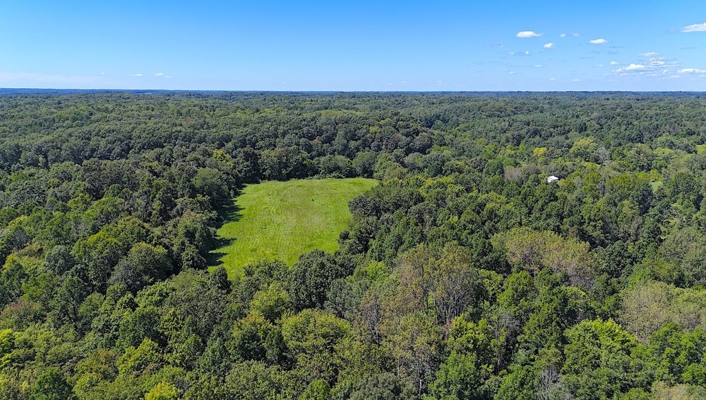 Real estate listing image