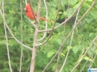 Deaver Walker Rd, Locust fork, AL 35097