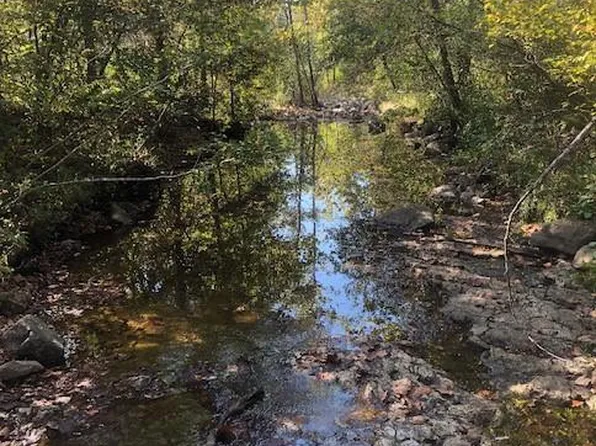 1 Church Rd, Annapolis, MO 63620