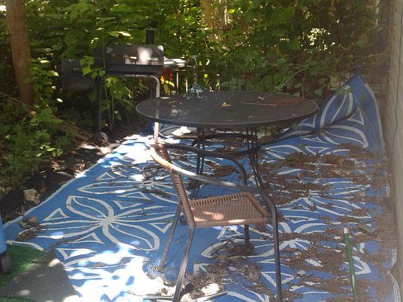 2nd image of 226 Buckingham Pl