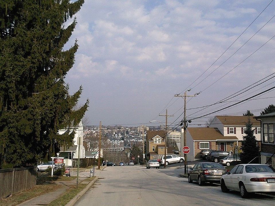 northern view
