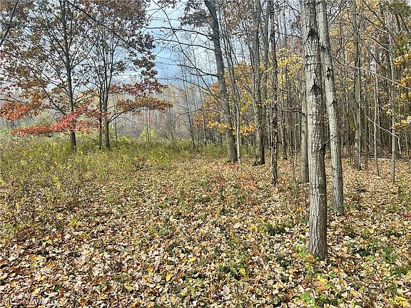 3rd image of Marrian Rd