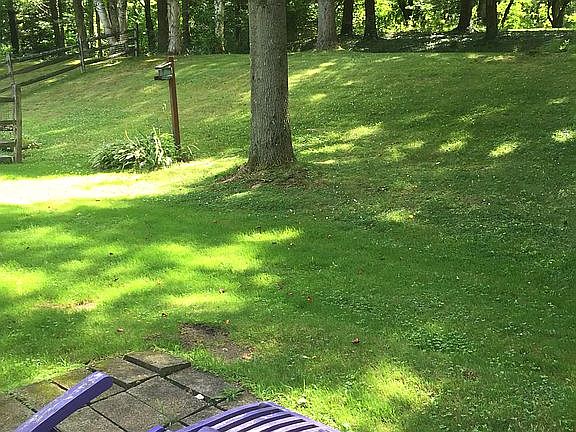 Back yard -view from patio