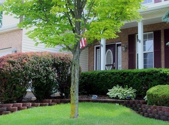 4th image of 334 Wayside Dr