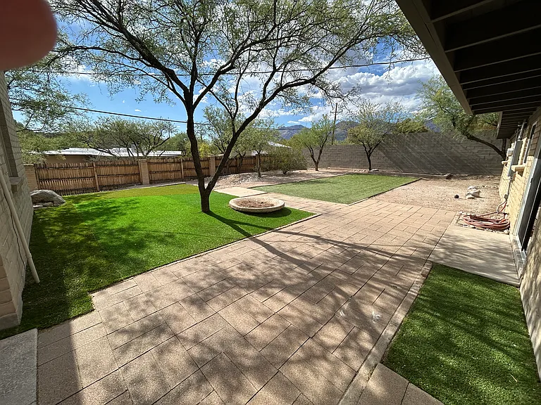 Backyard