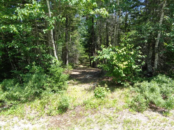 Lot 11 Bailey Mountain Road, Franklin, ME 04634
