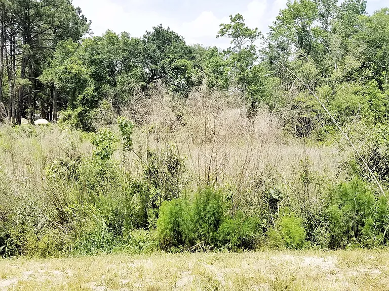 479 Truman Dr — Photo 13