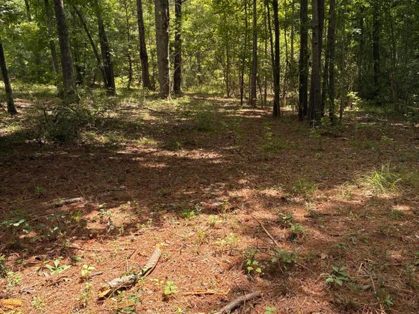 1061 Myrtle Dr, Santee, SC 29142