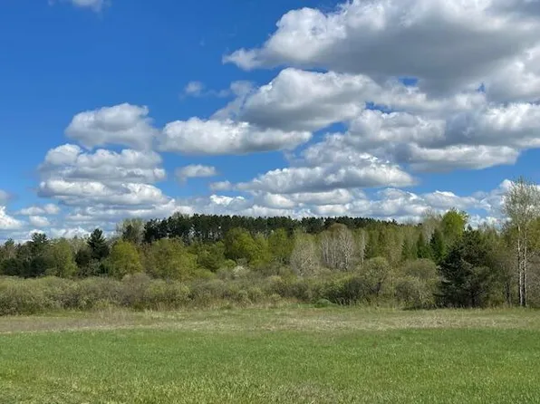 210th Ave, Leroy, MI 49655