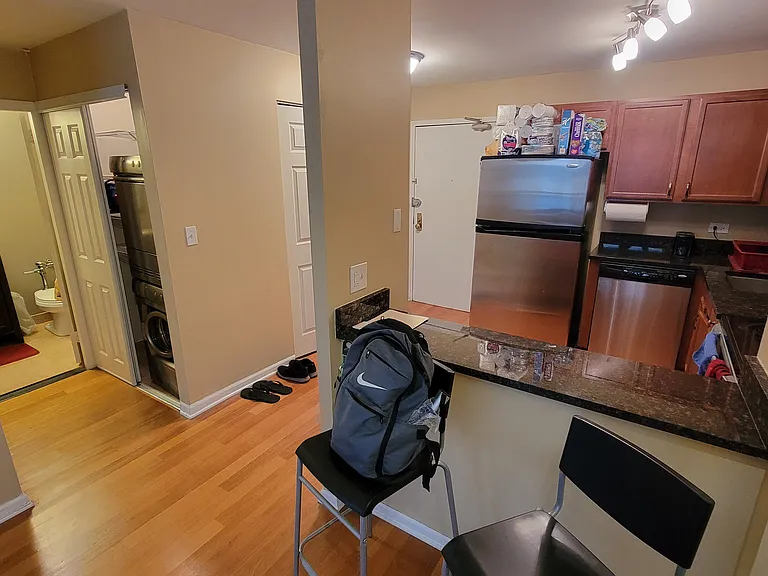 222 E Pearson St #1407 — Photo 11
