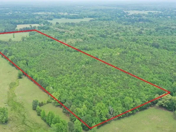 2 Fm 1766, Naples, TX 75568