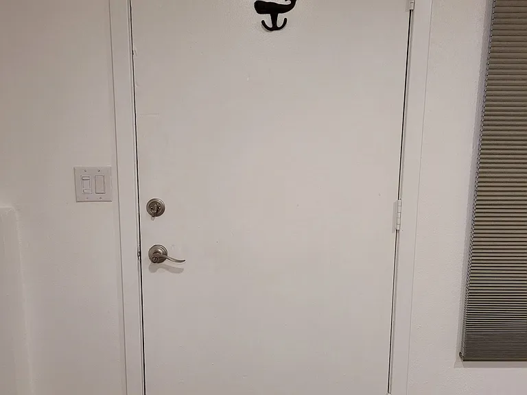 Solid-wood-security front door.