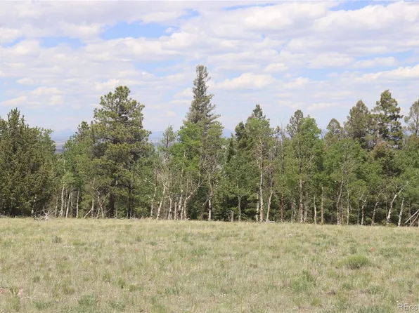 1100 Bolster Drive LOT 1145, Hartsel, CO 80449