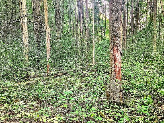 3rd image of 15282 Leroy Rd