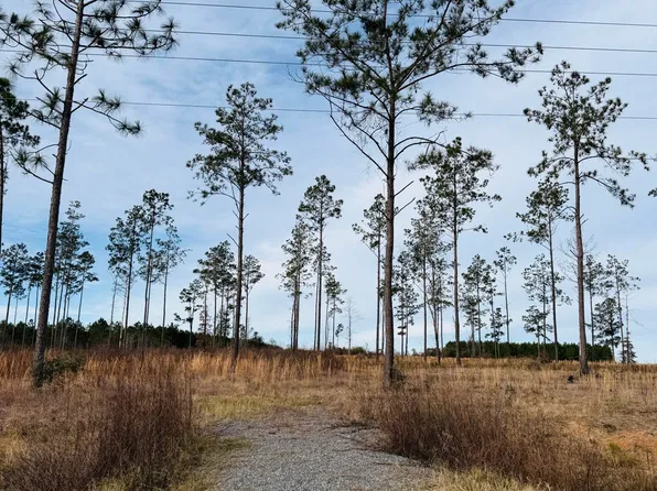 Paul McMillian Rd, Deridder, LA 70634