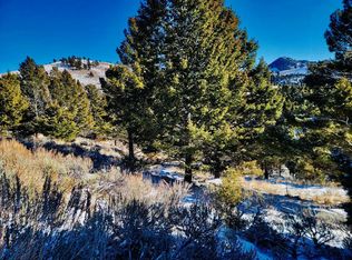 Mining Claim Access, Basin, MT 59631