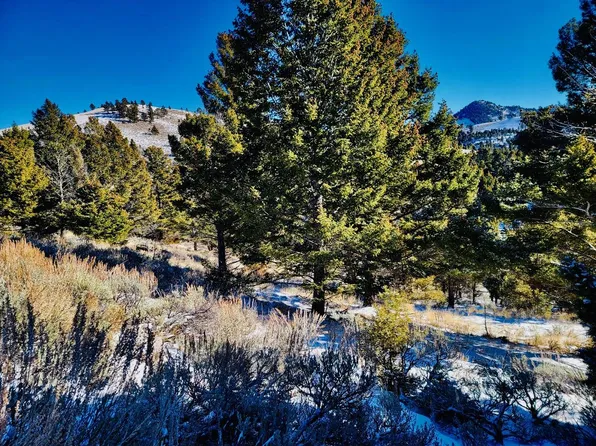 Mining Claim Access, Basin, MT 59631