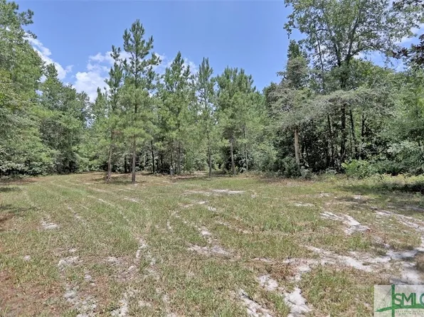 0 Buck Road, Vidalia, GA 30474