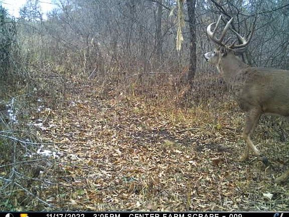 2nd image of 5539 147th St